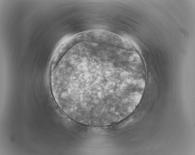 X0000115441104200912161449