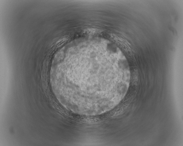 X0000115441105200912161449