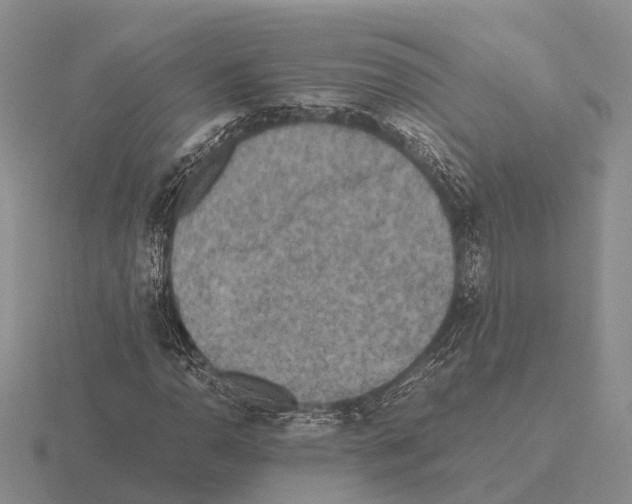 X0000115441110200912161449