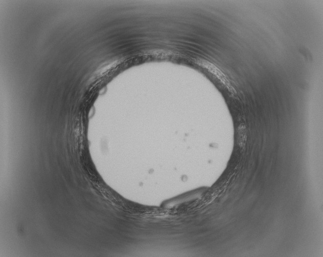 X0000115441111200912161449