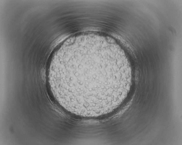 X0000115441113200912161449