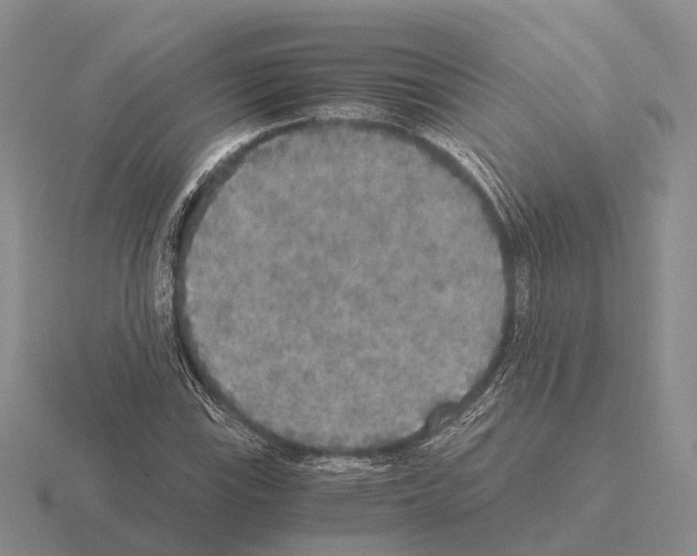 X0000115441115200912161449