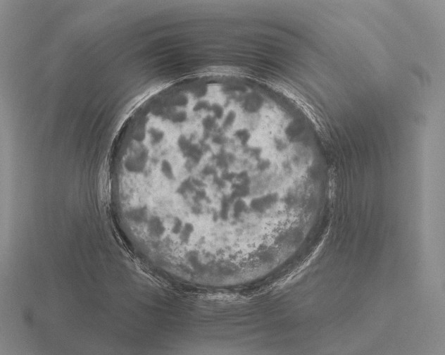 X0000115441117200912161449