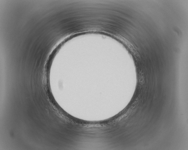 X0000115441118200912161449