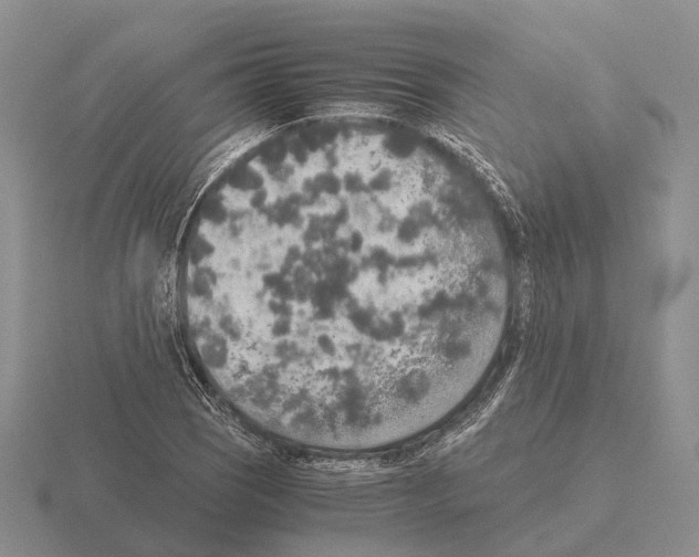 X0000115441121200912161449