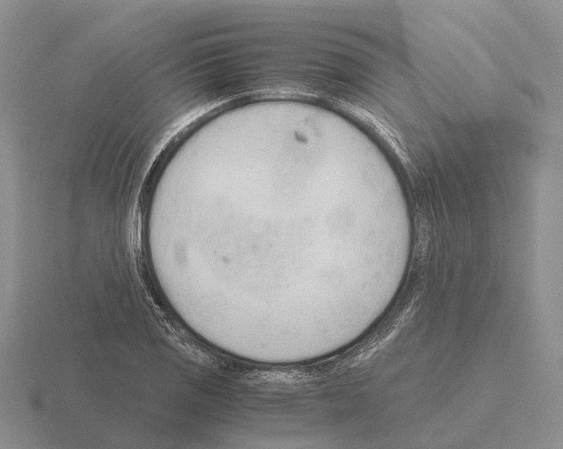 X0000115441125200912161449