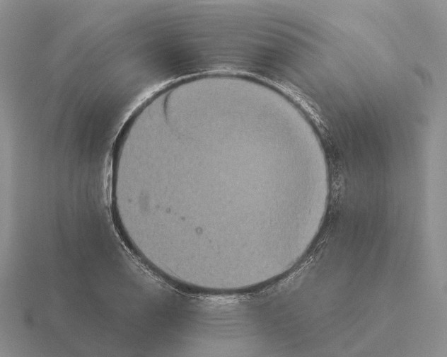 X0000115441126200912161449