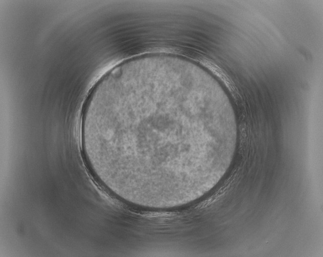 X0000115441127200912161449