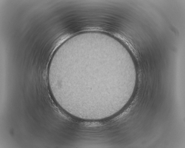 X0000115441129200912161449