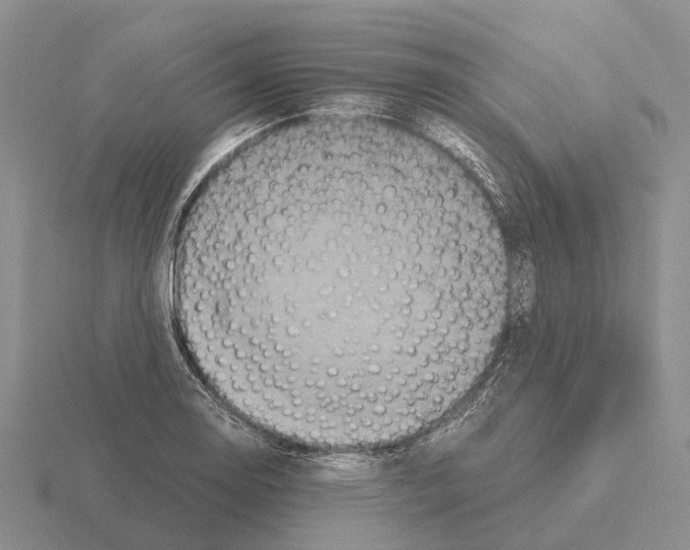 X0000115441130200912161449