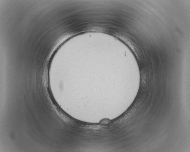 X0000115441131200912161449