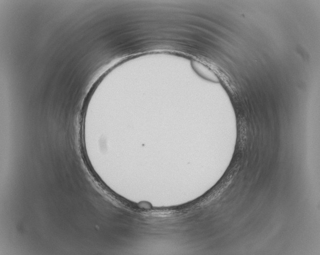 X0000115441134200912161449