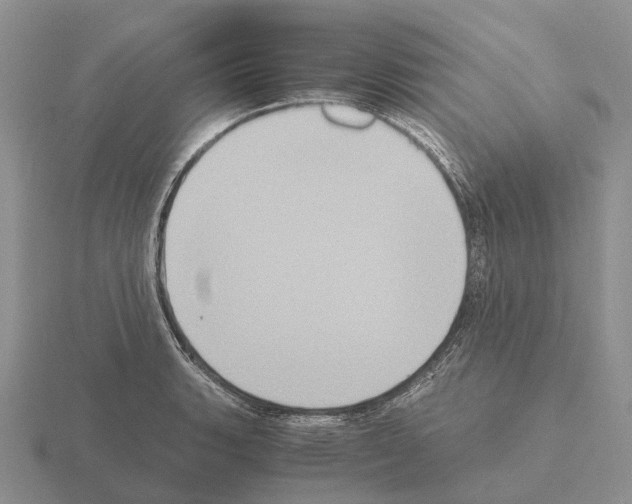 X0000115441135200912161449