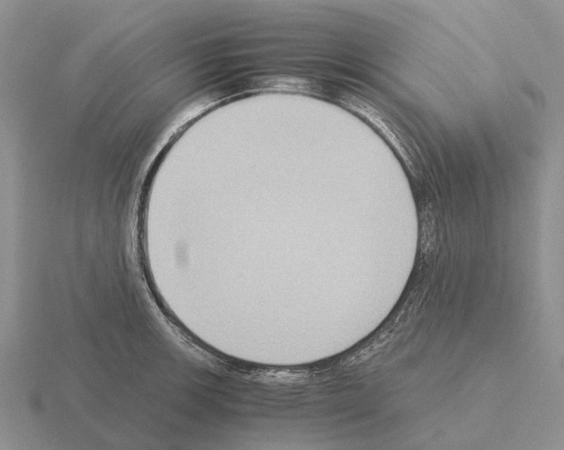 X0000115441139200912161449