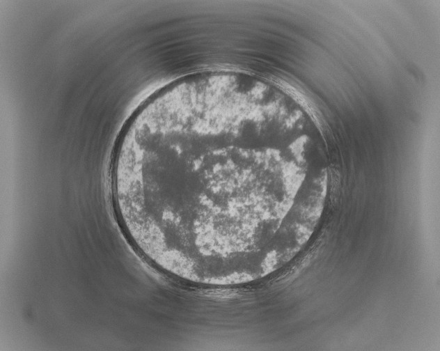 X0000115441141200912161449