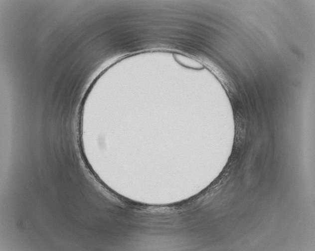 X0000115441142200912161449