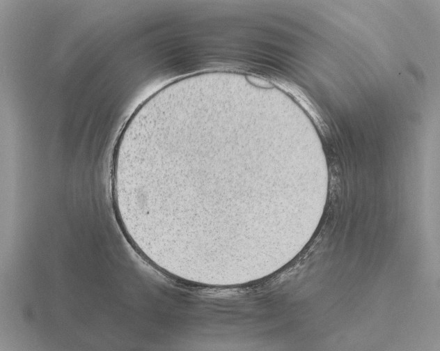 X0000115441143200912161449