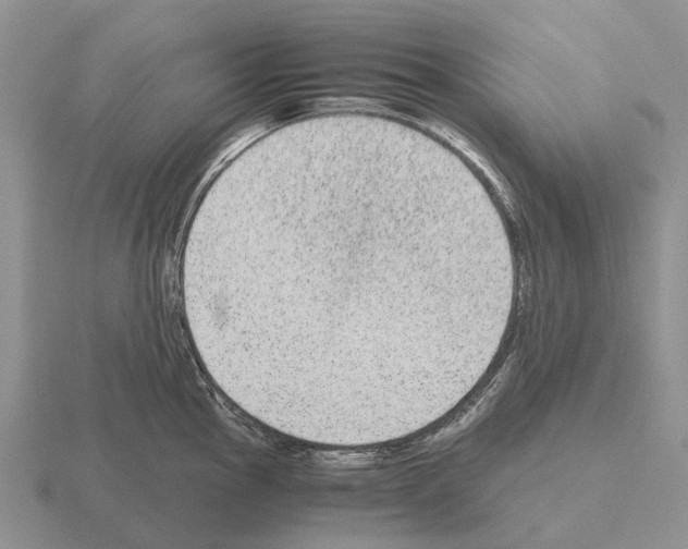 X0000115441145200912161449