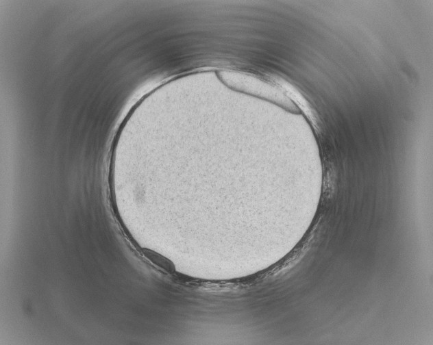 X0000115441146200912161449