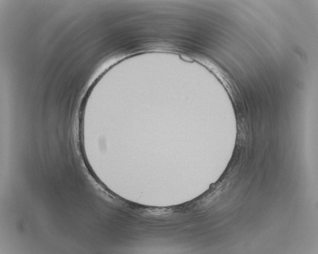 X0000115441147200912161449