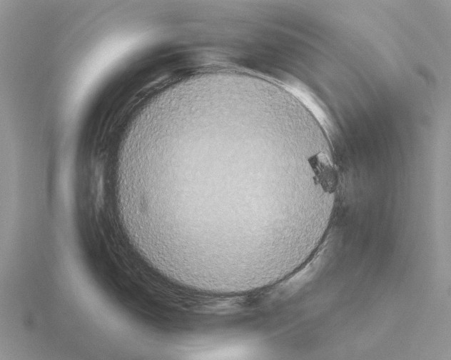 X0000115441150200912161449