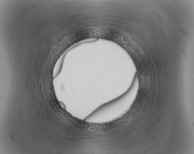 X0000115441153200912161449