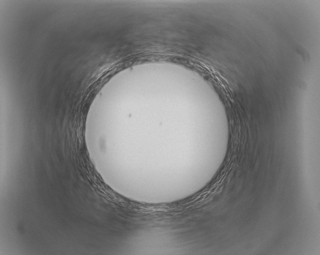 X0000115441157200912161449