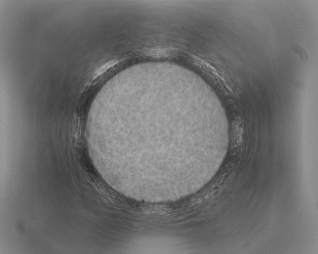 X0000115441158200912161449