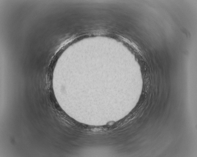 X0000115441160200912161449