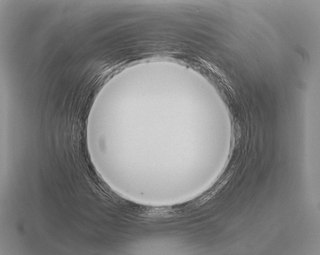 X0000115441161200912161449