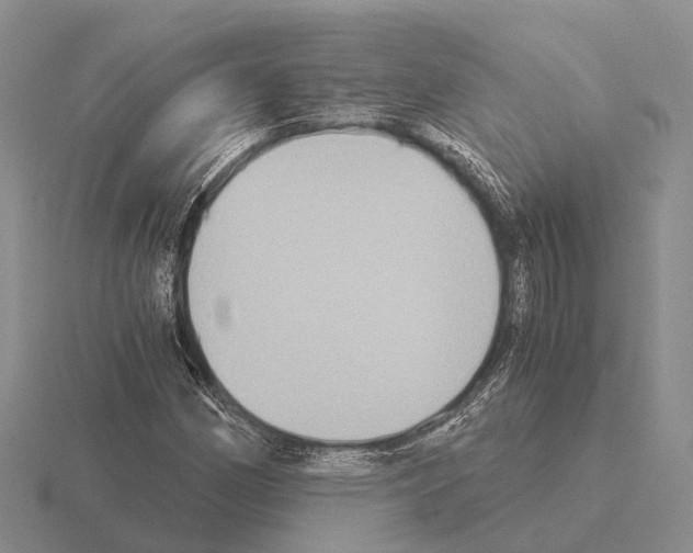 X0000115441162200912161448