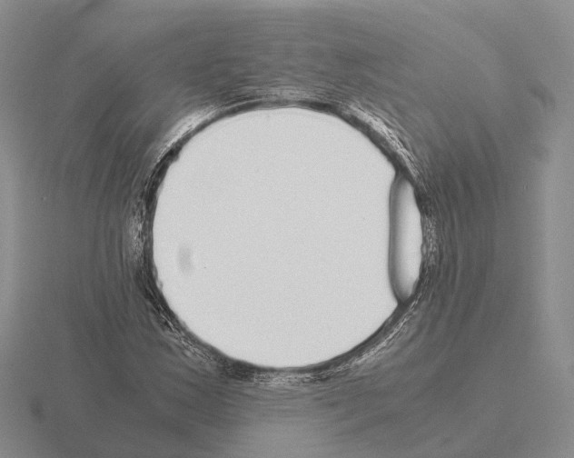 X0000115441163200912161448