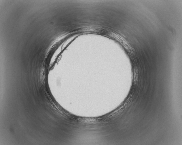 X0000115441164200912161448