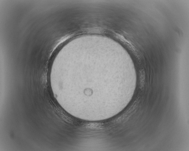 X0000115441166200912161448