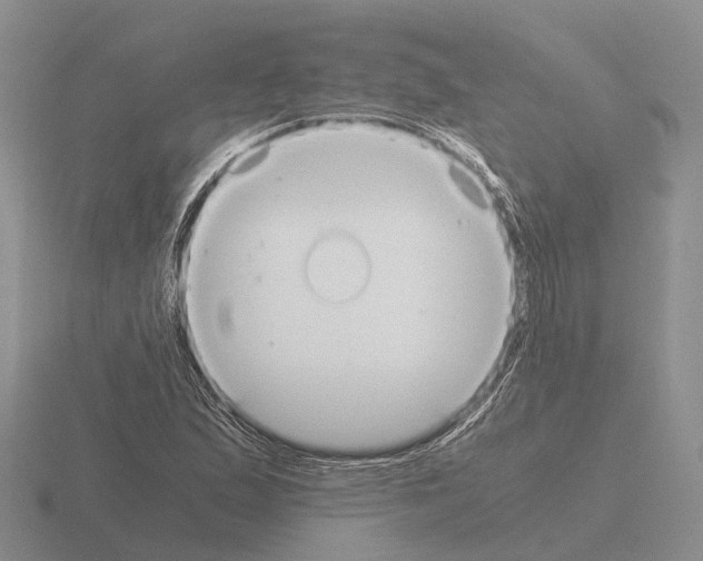 X0000115441167200912161448