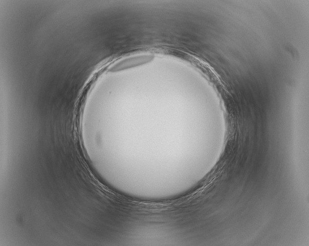 X0000115441168200912161448