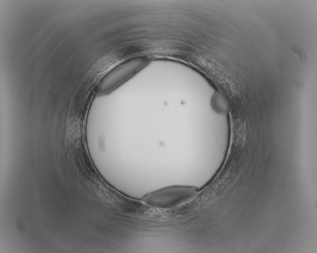 X0000115441169200912161448