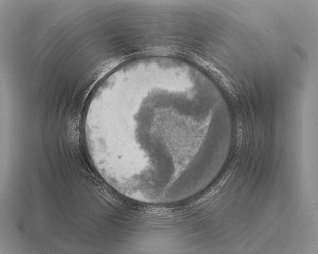 X0000115441170200912161448