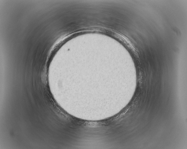 X0000115441172200912161448