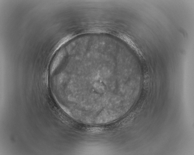 X0000115441173200912161448