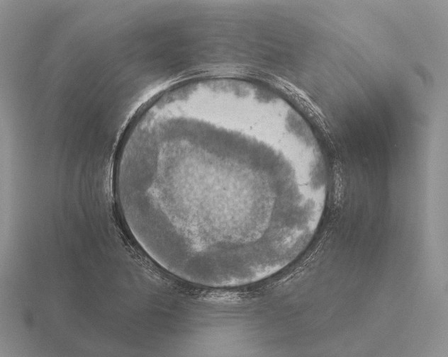 X0000115441174200912161448