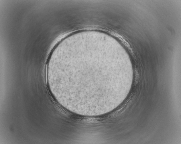 X0000115441175200912161448