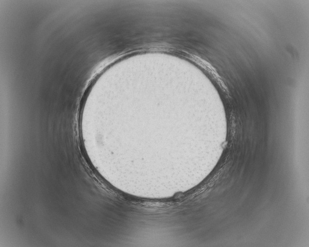 X0000115441176200912161448