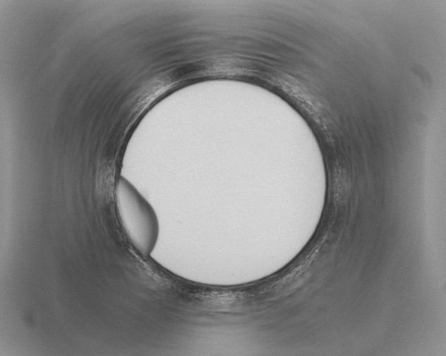 X0000115441177200912161448