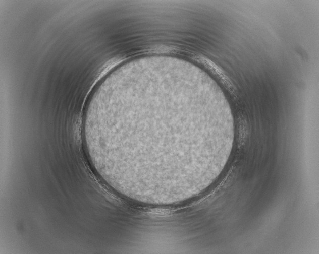 X0000115441178200912161448