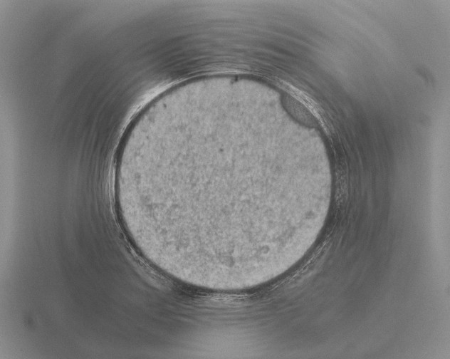 X0000115441179200912161448