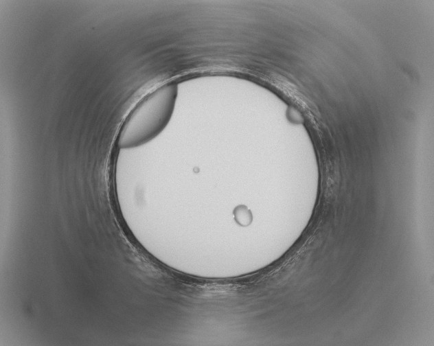 X0000115441181200912161448