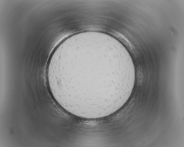 X0000115441182200912161448