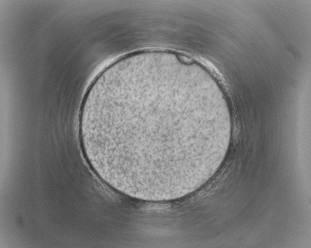 X0000115441183200912161448