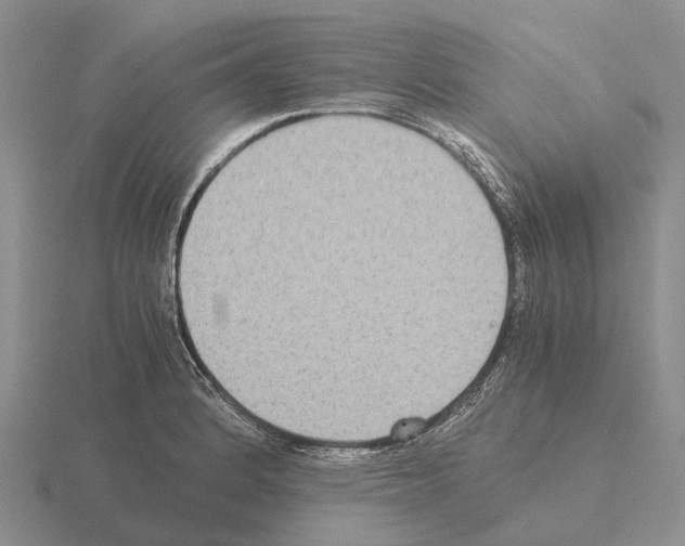 X0000115441184200912161448